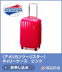 <�A�����J���c�[���X�^�[>�L�����[�P�[�X�@�s���N