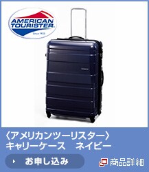 <�A�����J���c�[���X�^�[>�L�����[�P�[�X�@�l�C�r�[