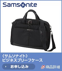 <�T���\�i�C�g>�r�W�l�X�u���[�t�P�[�X