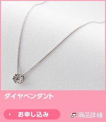 �_�C���y���_���g