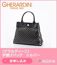 <�Q�����f�B�[�j>��񂰃o�b�O�@�V���o�[