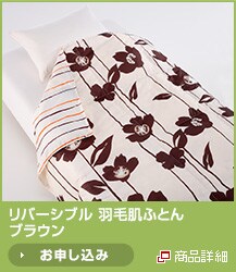 ���o�[�V�u�� �H�є��ӂƂ�@�u���E�� 