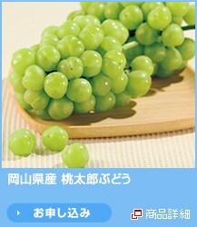 ���R���Y �����Y�Ԃǂ�