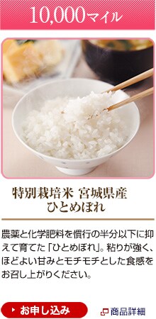 10,000�}�C���@���ʍ͔|�� �{�錧�Y�@�ЂƂ߂ڂ�_��Ɖ��w�엿�����s�̔����ȉ��ɗ}���Ĉ�Ă��u�ЂƂ߂ڂ�v�B�S�肪�����A�قǂ悢�Â݂ƃ��`���`�Ƃ����H�����������オ�肭�������B