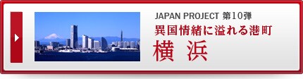 JAPAN PROJECT ��10�e �ٍ���Ɉ���`���@���l