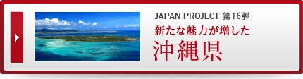 JAPAN PROJECT ��16�e �V���Ȗ��͂��������@���ꌧ