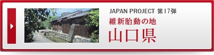 JAPAN PROJECT ��17�e �ېV�ٓ��̒n�@�R����