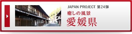 JAPAN PROJECT ��24�e �����̕��i�@���Q��