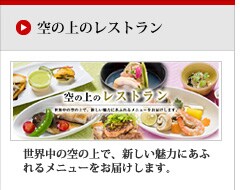 JAL�̐V�����@���H