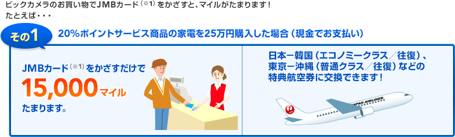 ����1�F20���|�C���g�Ҍ����ŁA25���~�̉Ɠd���w�������ꍇ