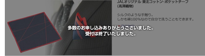 JAL�I���W�i�� ���k�R�b�g���E�|�P�b�g�`�[�t�i���V�D���j