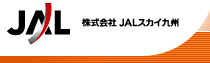 �������JAL�X�J�C��B