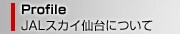 JAL�X�J�C���ɂ���
