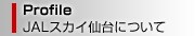 JAL�X�J�C���ɂ���