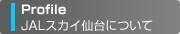 JAL�X�J�C���ɂ���