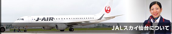 JAL�X�J�C���ɂ���