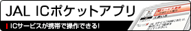 IC�|�P�b�g�A�v��