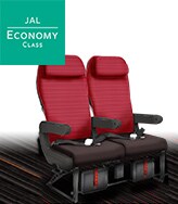 JAL Economy Class