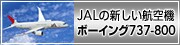 JAL�̐V�����q��@ �{�[�C���O737-800�^�@