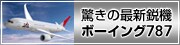 �����̍ŐV�s�@ �{�[�C���O787