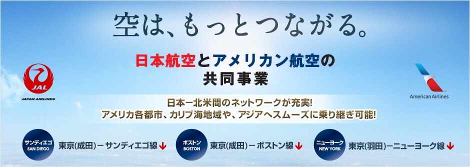 ��́A�����ƂȂ���B���{�q��ƃA�����J���q��̋������� ���{�|�k�ĊԂ̃l�b�g���[�N���[���I �A�����J�e�s�s�A�J���u�C�n���A�A�W�A�փX���[�Y�ɏ��p���\�I