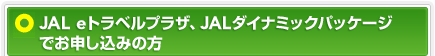 JAL e�g���x���v���U�ł��\���̕�