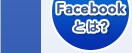 Facebook�Ƃ́H