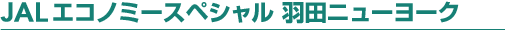 JAL�G�R�m�~�[�X�y�V���� �H�c�j���[���[�N