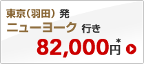 �����i�H�c�j���@�j���[���[�N�s���@82,000�~*