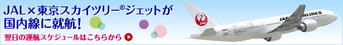 JAL�~�����X�J�C�c���[&reg;�W�F�b�g���������ɏA�q�I�@�����̉^�q�X�P�W���[���͂����炩��