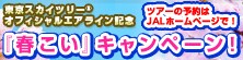 �����X�J�C�c���[�I�t�B�V�����G�A���C���L�O�u�t�����v�L�����y�[���I�c�A�[�̗\���JAL�z�[���y�[�W�ŁB