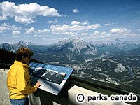 �T���t�@�[�R