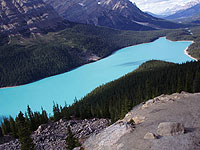 �y�C�g���C�N