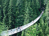 �L���s���m�݋�����