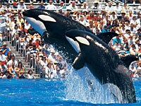 �V�[���[���h