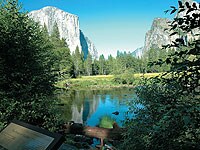 ���Z�~�e��������