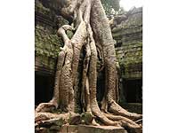 �^�E�v���[��