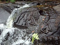 �N�o���E�X�s�A��