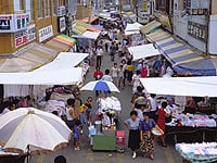 ���ێs��i�N�`�F�V�W�����j