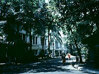 �}���J�j�A���{�a