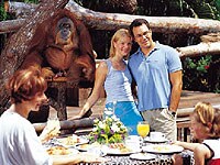 �V���K�|�[��������