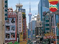 �싞�H����