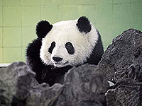 ��C������