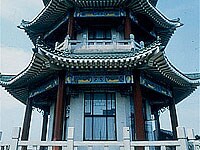 �����R����