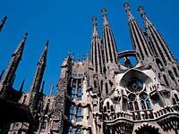 �T�N���_�E�t�@�~���A����