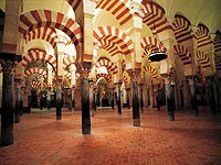 ���X�L�[�^