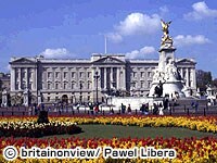 �o�b�L���K���{�a