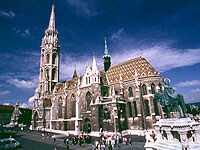 �}�[�`���[�V������