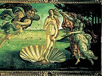 �E�t�B�b�c�B���p��