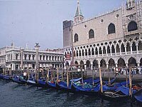 �h�D�J�[���{�a